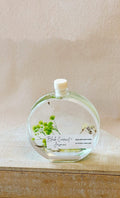 Handmade Lumenwood Apothecary Essence reed diffuser with botanical design, 100 ml glass bottle, for home fragrance and decor.