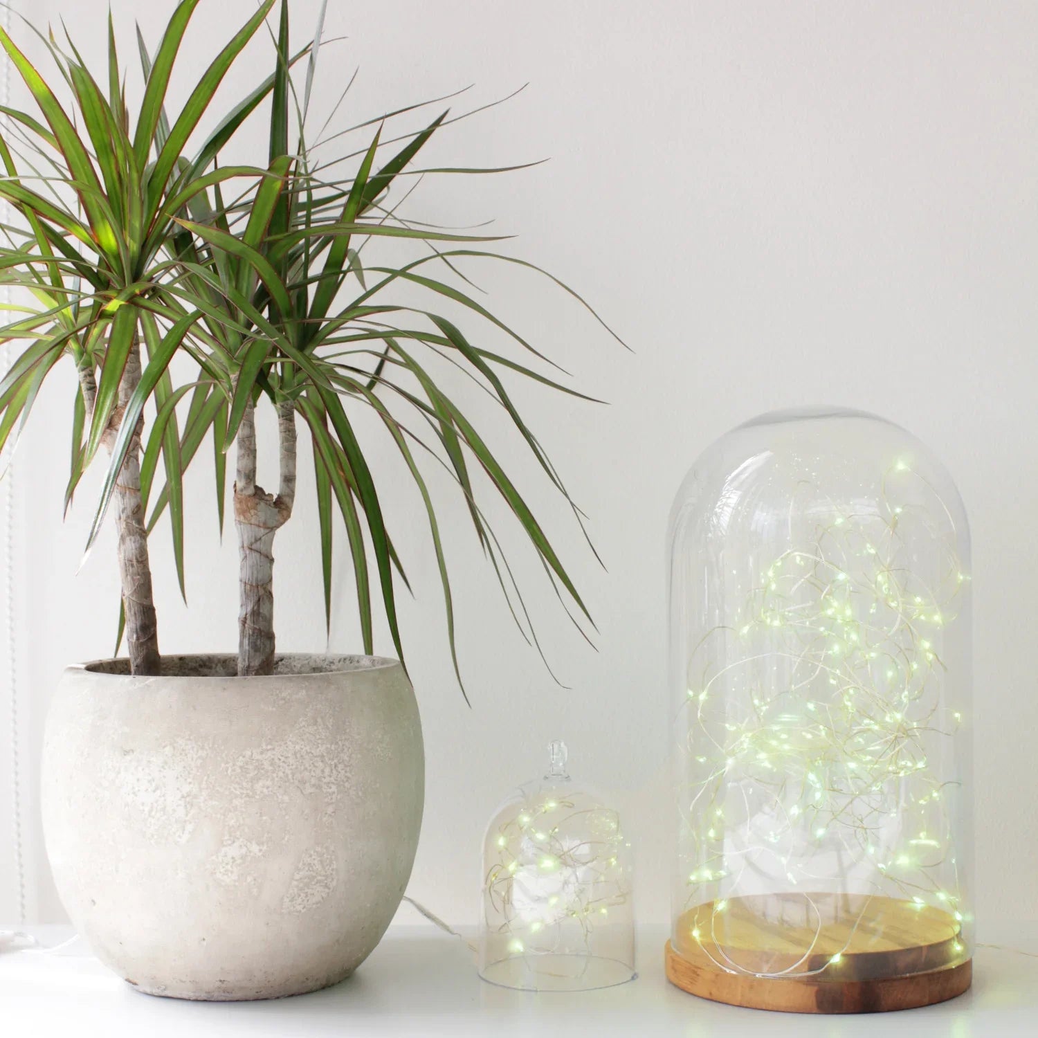 Silver copper fairy LED lights with 20 bulbs, battery-operated decorative string lights by Perfect Holiday.