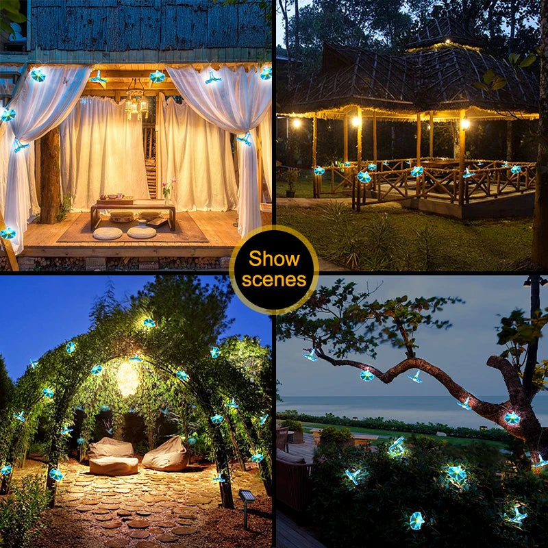Outdoor solar fairy garden lights with 10 LED floral glow, decorative morning glory design for garden and outdoor lighting.