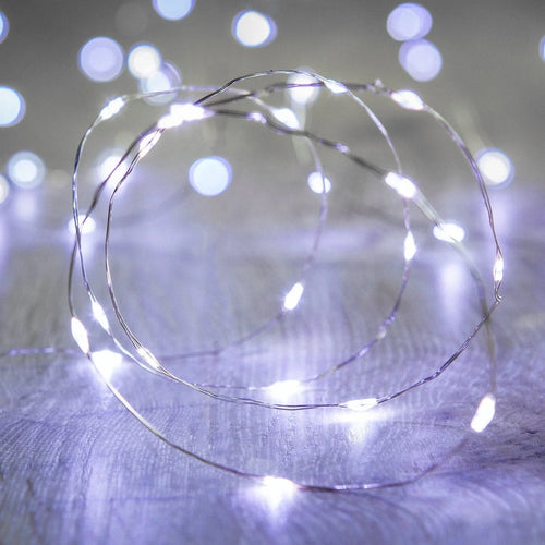 20 LED silver copper fairy lights by Perfect Holiday, battery-operated decorative lights emitting a soft white glow.